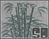 SD Urban Bamboo Plant
