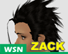 [wsn]ZACK#Blackshine