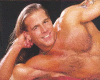 shawn michaels