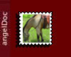 aD; western tack2