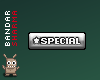 (BS) SPECIAL in silver