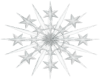 Snowflake 1