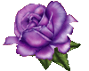 sticker_6830776_12439242
