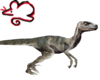 Velociraptor