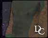 The Dusty Lizard