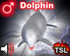 Dolphin Ride G (M)(S)