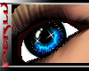 (PX)Glamour Dark Blue E.