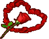 Rose heart anim stiker