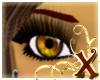 Gold Glass Eyes