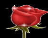 ~Red Rose Sticker~