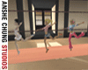 [ACS]BALLET BAR