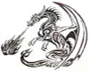 back tatoo Drake