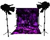 Purple Star photo shoot