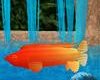 Anywhere Fish