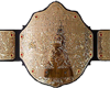 wrestling belt
