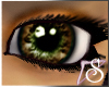 Product Image for Multi Color Earthy