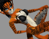 Bengal Tiger Ears