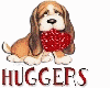 huggers dog