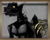 TC~ Pendragon Black