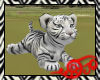 Safari Tiger Baby White
