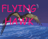 Flying Hawk