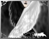 Blk White Folding Wings
