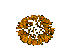 .PDG. Fireworks Animated