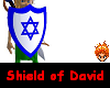 Shield of David