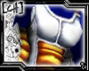 [CH] Saiyan Armour