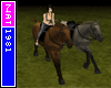 Get the Horse Rider Bundle here!