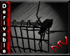 (MV) Web Curtain