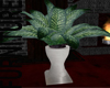 Click on this image for Green Plant Grey