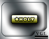 Holy Tag