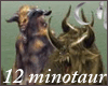 )o( 12Minotaurs Warriors