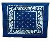 {SQ}Blue Bandana