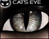 Product Image for [SIN] Cat's Eye - Grey