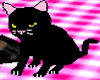 Cute black cat