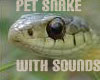 Pet snake with sound
