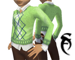 Blouse and Green Pullove