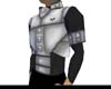 Silver Grey Bodyarmor