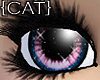 {CAT}Fragile-Candy Eyes
