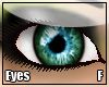 [BA] ISight::Tropical
