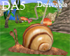 (A) Snail