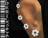 [Tz] Diam Derivable