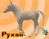 Palomino foal