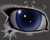 Indigo Simple Eyes