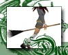 d Bolt of Fire Broom