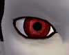 Red Vampire Eyes