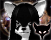 Scar[F]