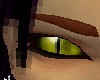 t:cat eyes